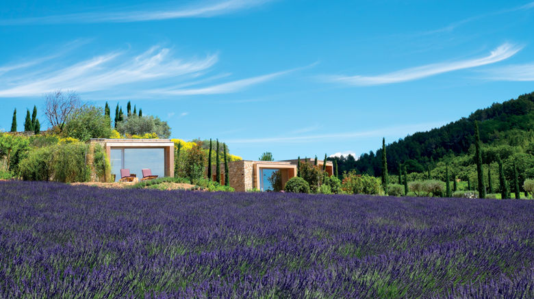 <b>Domaine des Andeols Suite</b>. Images powered by <a href="https://www.leonardoworldwide.com/" title="Leonardo Worldwide" target="_blank">Leonardo</a>.