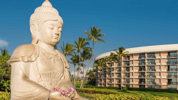 Hilton Grand Vacations Club Ocean Tower Other