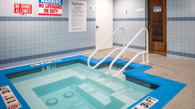 Holiday Inn San Mateo Pool
