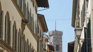 Domux Home