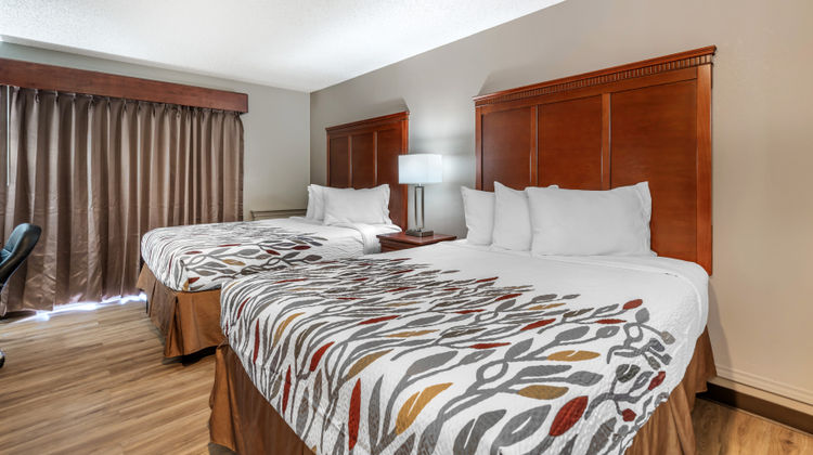 Red Roof Inn & Suites Sulphur Springs Suite