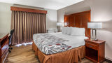 Red Roof Inn & Suites Sulphur Springs Suite