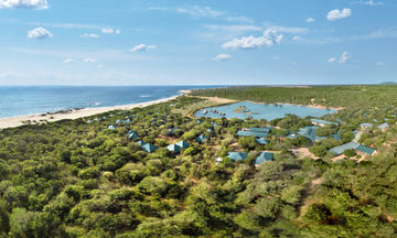Cinnamon Wild Yala