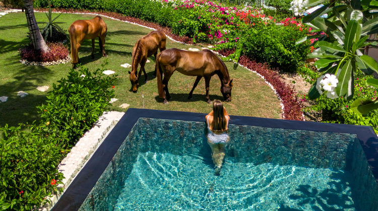 Nihi Sumba, Sumba Island Pool