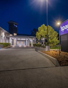 Spark by Hilton Williams