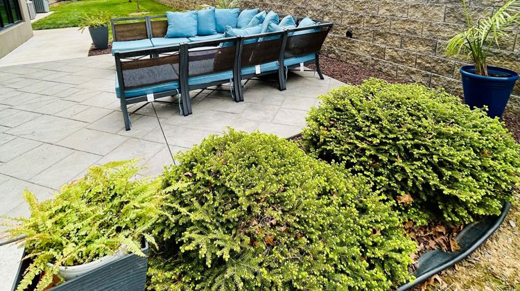 Holiday Inn Express/Suites Shippensburg Other