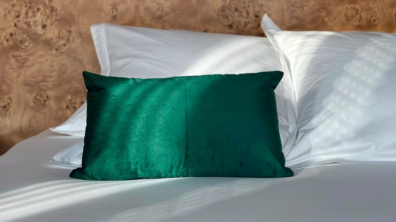 <b>Debaines Hotel Santiago Room</b>. Images powered by <a href="https://www.leonardoworldwide.com/" title="Leonardo Worldwide" target="_blank">Leonardo</a>.