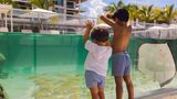 The St Regis Longboat Key Resort Other
