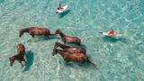 <b>Nihi Sumba, Sumba Island Recreation</b>. Images powered by <a href="https://www.leonardoworldwide.com/" title="Leonardo Worldwide" target="_blank">Leonardo</a>.