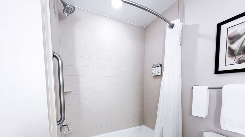 <b>Holiday Inn Express & Suites Morton Room</b>. Images powered by <a href="https://www.leonardoworldwide.com/" title="Leonardo Worldwide" target="_blank">Leonardo</a>.