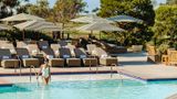 The Lodge at Torrey Pines Pool