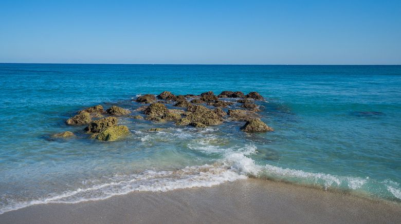 <b>Holiday Inn Boca Raton-North Other</b>. Images powered by <a href="https://www.leonardoworldwide.com/" title="Leonardo Worldwide" target="_blank">Leonardo</a>.