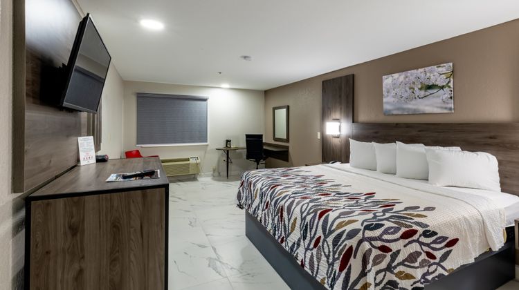 Red Roof Inn Pharr-McAllen Room