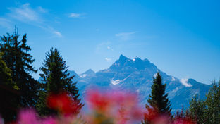 Chalet RoyAlp Hotel & Spa