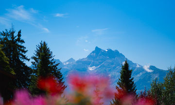 Chalet RoyAlp Hotel & Spa