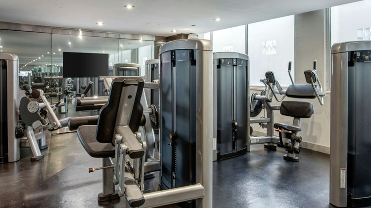 The Wade Health Club