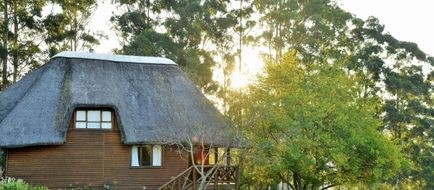ANEW Hotel Ingeli Forest & Spa Exterior