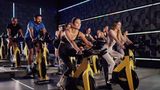 Calderona Wellness Health Club