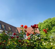 Begijnhof Hotel Exterior