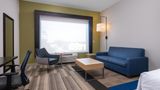 Holiday Inn Express/Stes Lakeland South Suite