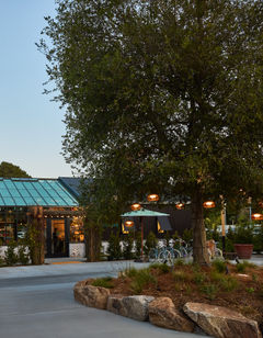 Treehouse Silicon Valley