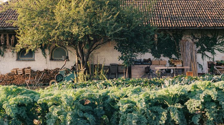 Villa Arnica Suites & Garden Exterior