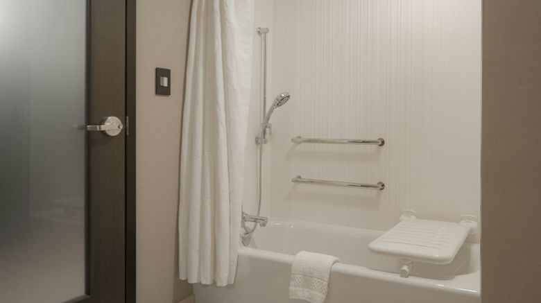 <b>AC Hotel Asheville Biltmore Village Room</b>. Images powered by <a href="https://www.leonardoworldwide.com/" title="Leonardo Worldwide" target="_blank">Leonardo</a>.