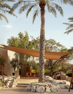 Al Maha, Luxury Collection Desert Resort