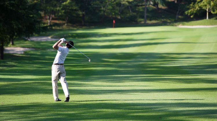 InterContinental Porto-Palacio das Cardo Golf