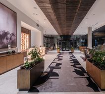 Hotel Bourre Bonne-Curio Collection Lobby