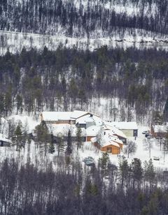 Bardufosstun
