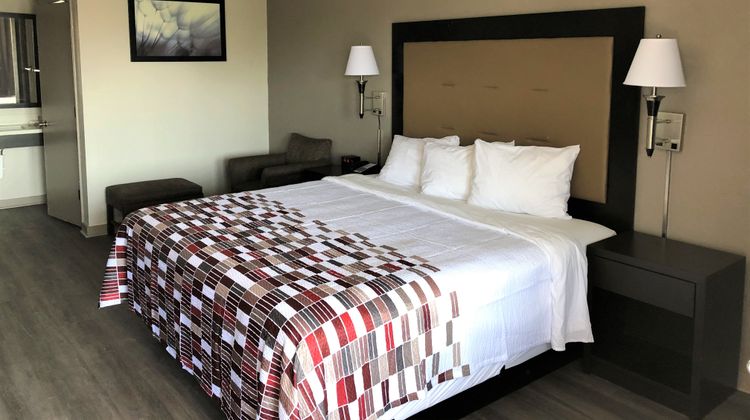 Red Roof Inn Greenville, NC Room