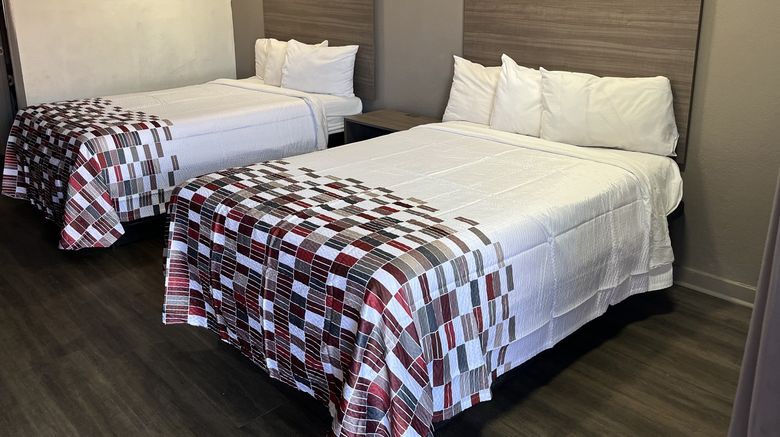 <b>Red Roof Inn Greenville, NC Room</b>. Images powered by <a href="https://www.leonardoworldwide.com/" title="Leonardo Worldwide" target="_blank">Leonardo</a>.