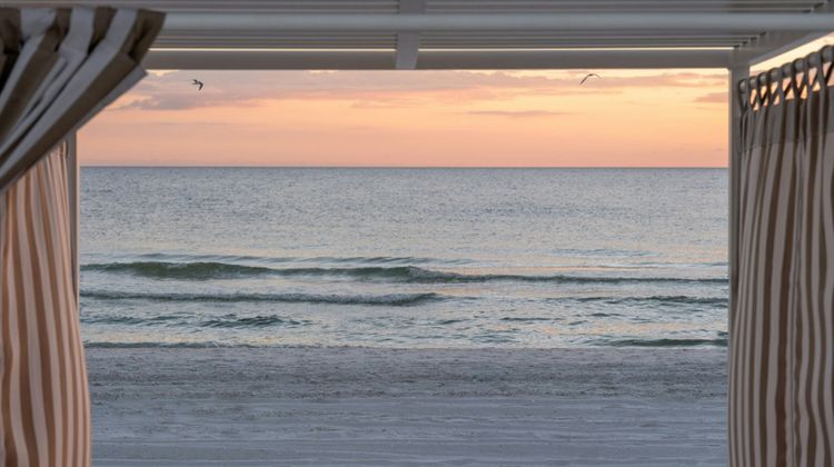 The Luce St Pete Beach Recreation