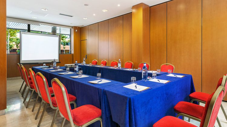 Sercotel Los Reyes Meeting