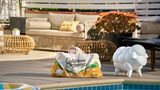 Tiller House, Laguna Hills Pool