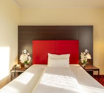 Plaza Inn Wels Room