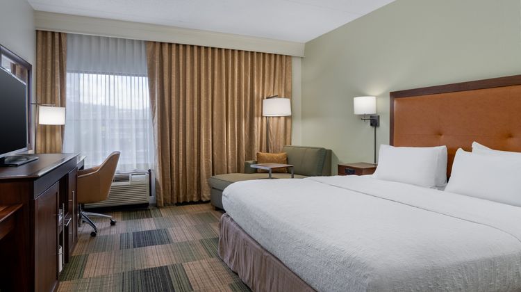 Hampton Inn & Suites Albany-Downtown Room