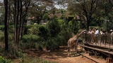 <b>Fairview Nairobi Other</b>. Images powered by <a href="https://www.leonardoworldwide.com/" title="Leonardo Worldwide" target="_blank">Leonardo</a>.