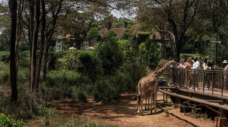 <b>Fairview Nairobi Other</b>. Images powered by <a href="https://www.leonardoworldwide.com/" title="Leonardo Worldwide" target="_blank">Leonardo</a>.