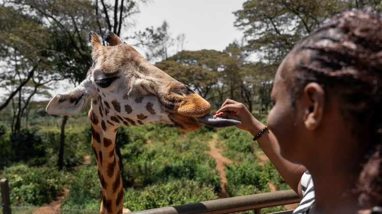Fairview Nairobi Other