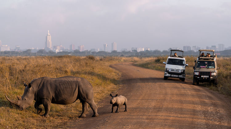 Fairview Nairobi Other