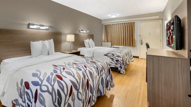 Red Roof Inn Buffalo - Niagara Airport Room