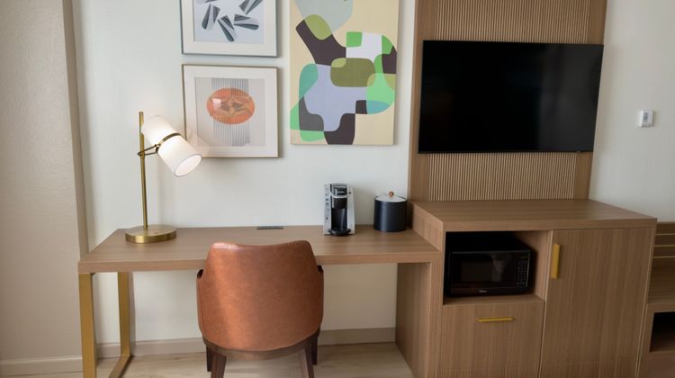 Holiday Inn Houston NRG/Medical Center Room