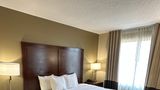 <b>Charlotte Suites Room</b>. Images powered by <a href="https://www.leonardoworldwide.com/" title="Leonardo Worldwide" target="_blank">Leonardo</a>.