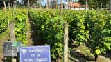<b>Relais de la Poste Exterior</b>. Images powered by <a href="https://www.leonardoworldwide.com/" title="Leonardo Worldwide" target="_blank">Leonardo</a>.