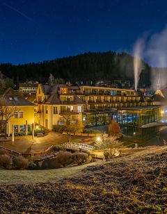 Hotel Therme Bad Teinach