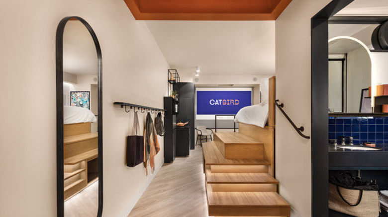 <b>Catbird Suite</b>. Images powered by <a href="https://www.leonardoworldwide.com/" title="Leonardo Worldwide" target="_blank">Leonardo</a>.
