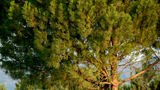 Domaine d'Auriac Golf