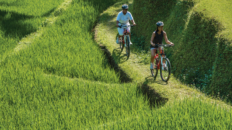 <b>Four Seasons Resort Bali at Sayan Recreation</b>. Images powered by <a href="https://www.leonardoworldwide.com/" title="Leonardo Worldwide" target="_blank">Leonardo</a>.